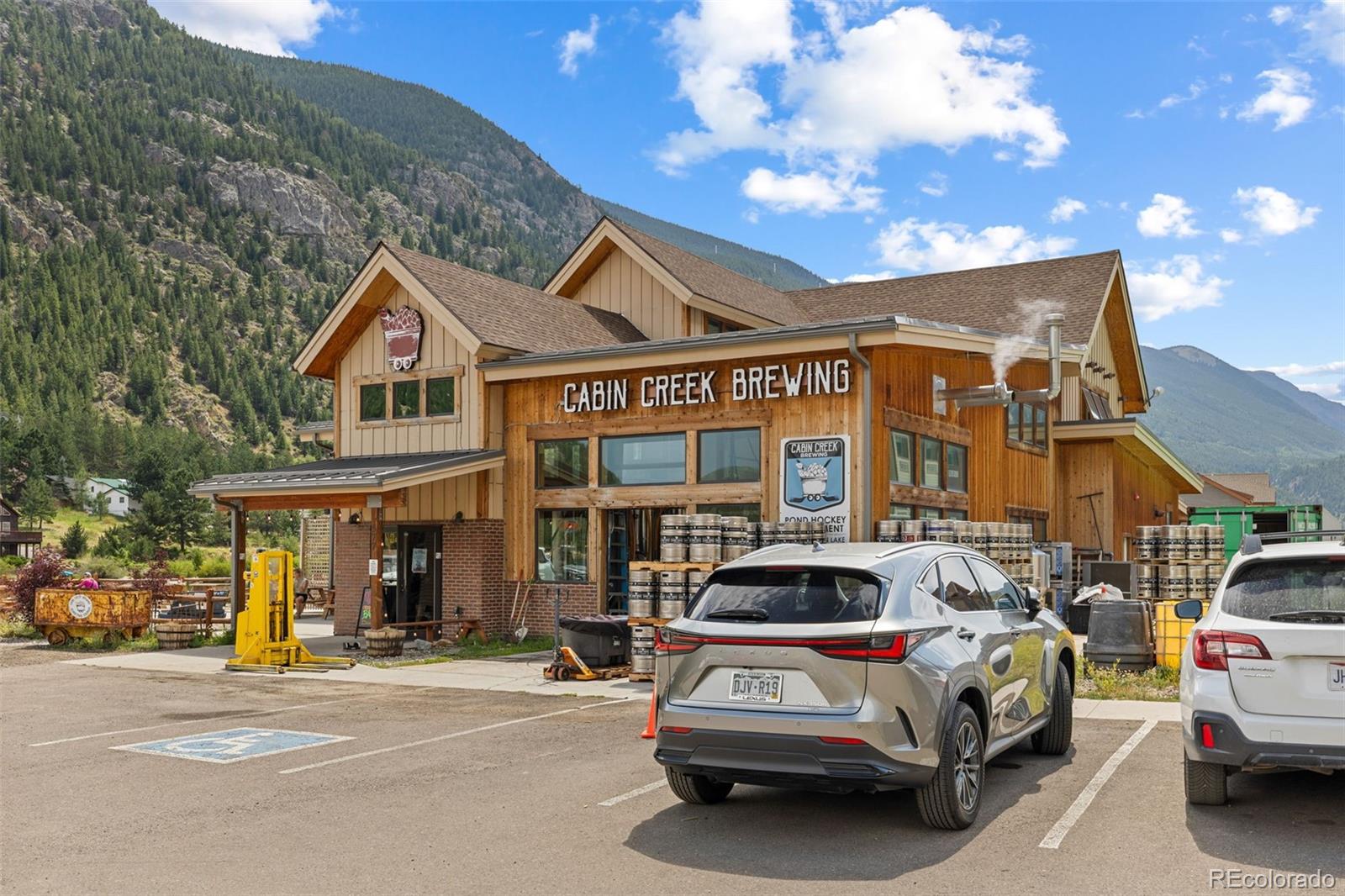 MLS Image #29 for 1890  argentine street,georgetown, Colorado