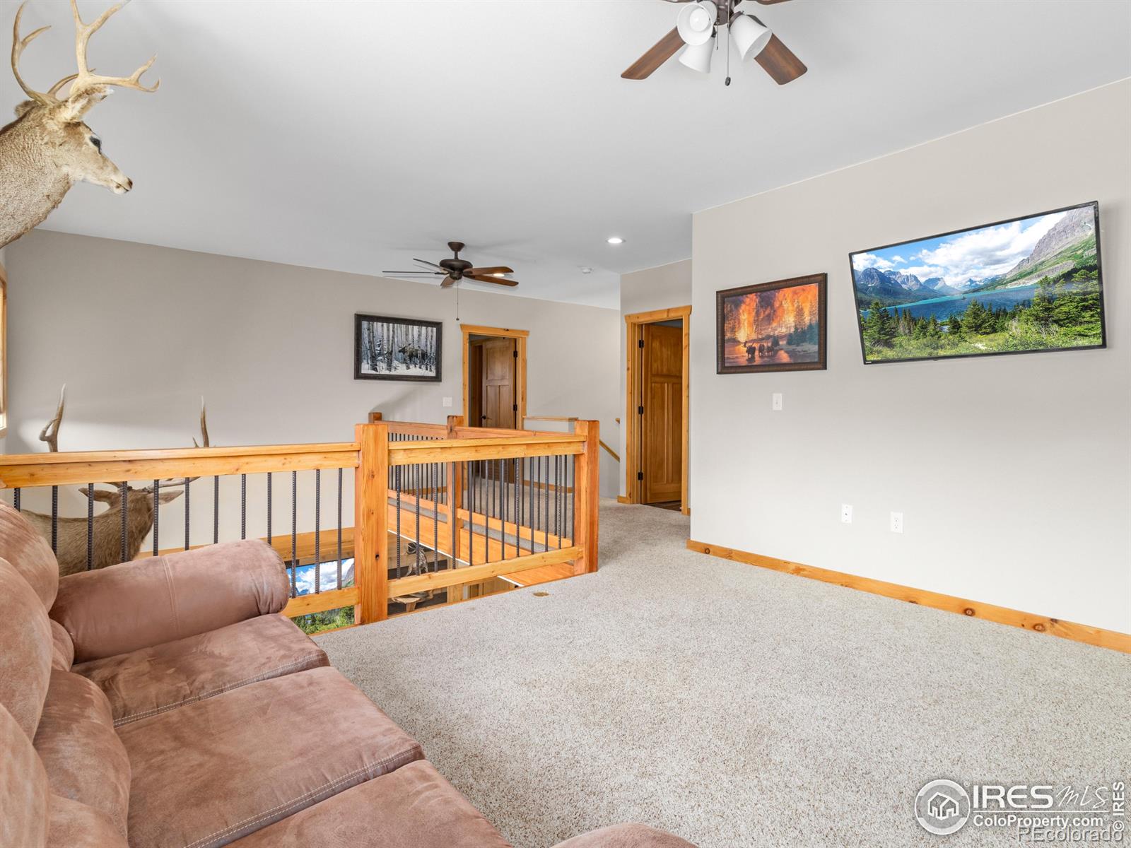 MLS Image #15 for 1401  high drive,estes park, Colorado