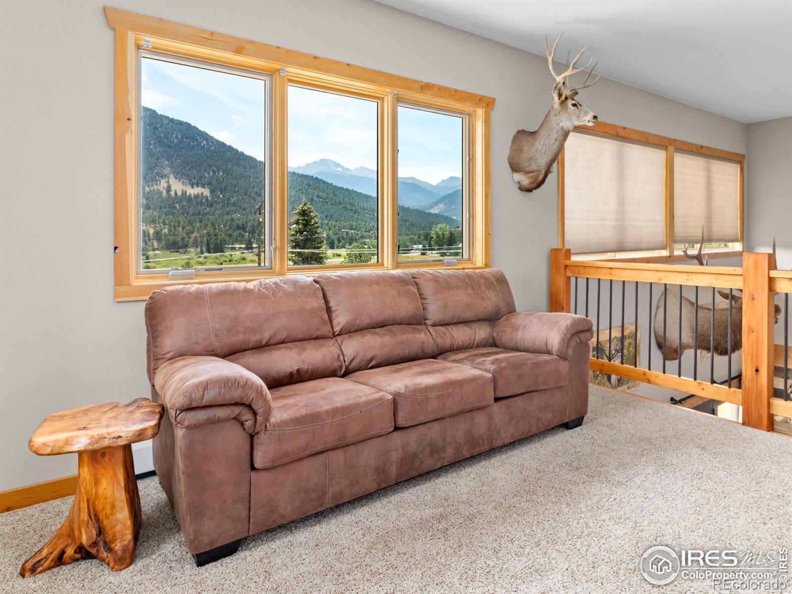 MLS Image #16 for 1401  high drive,estes park, Colorado