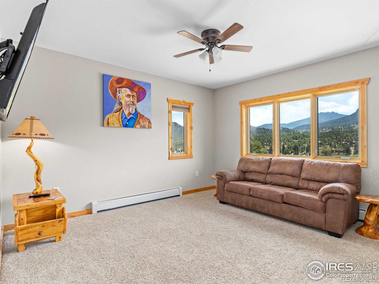 MLS Image #17 for 1401  high drive,estes park, Colorado