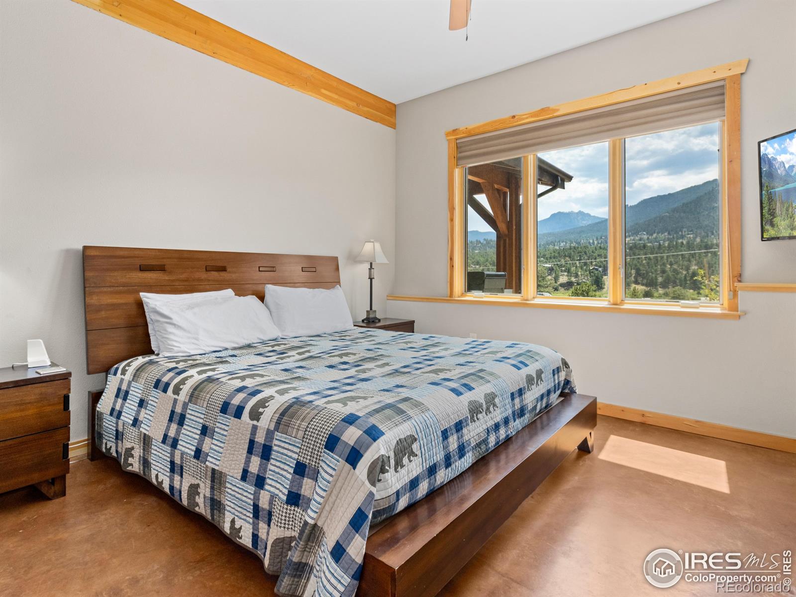 MLS Image #18 for 1401  high drive,estes park, Colorado