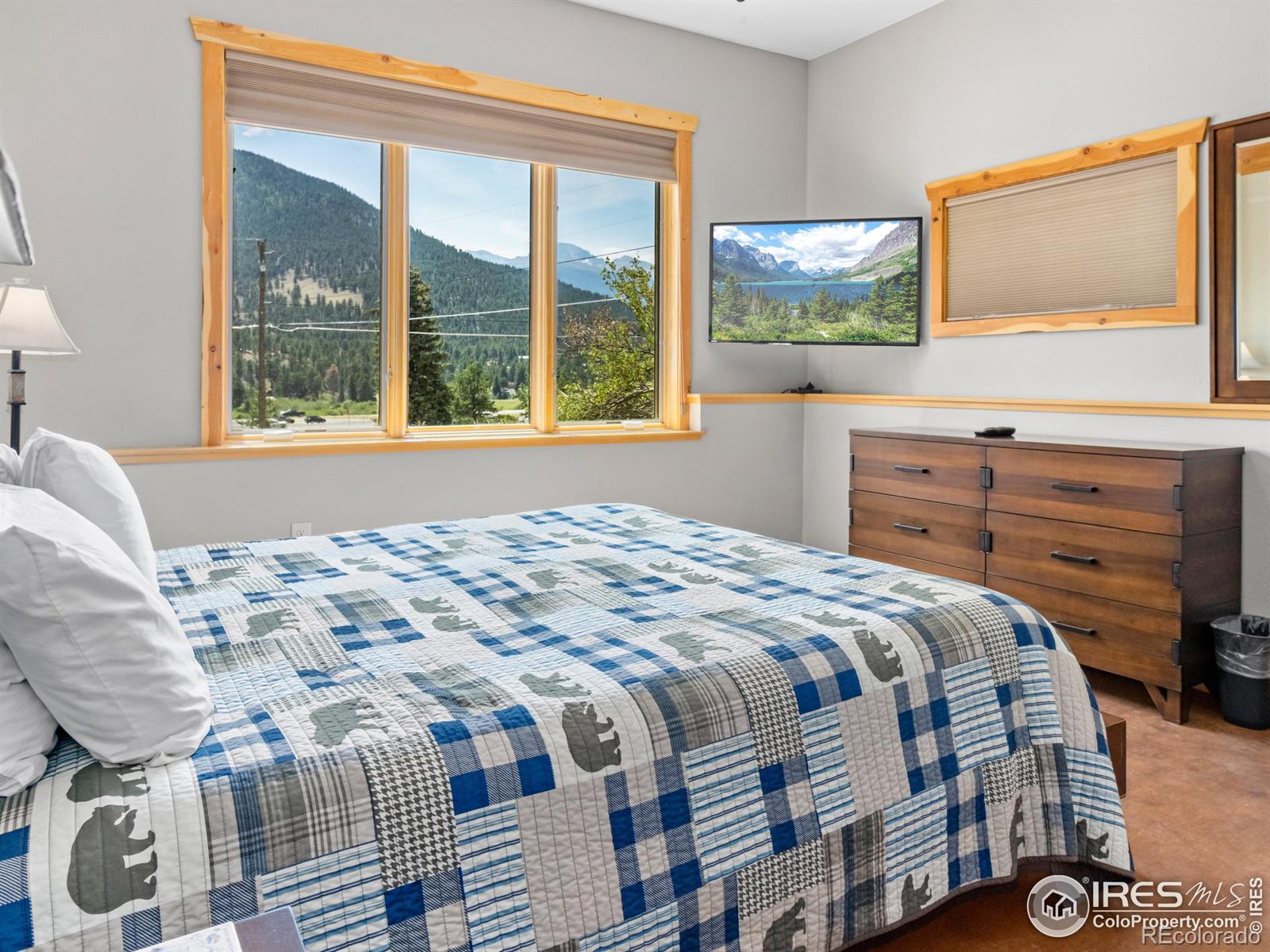MLS Image #19 for 1401  high drive,estes park, Colorado