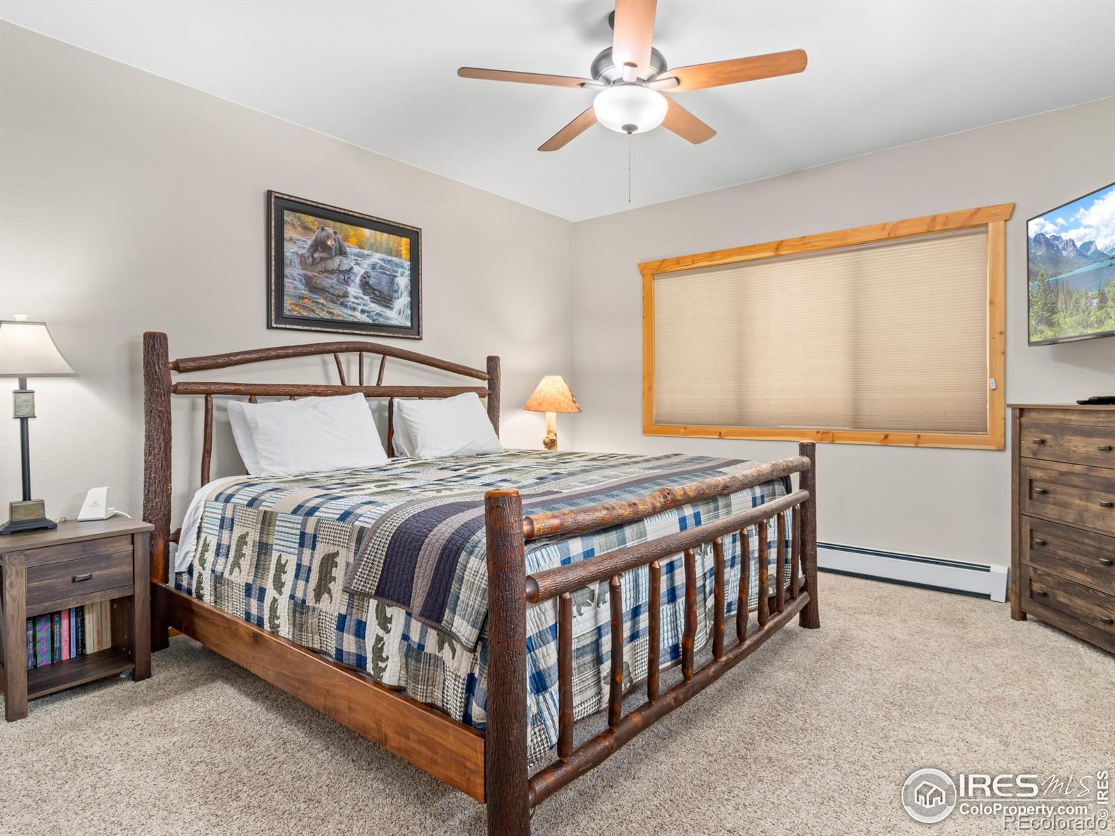 MLS Image #21 for 1401  high drive,estes park, Colorado