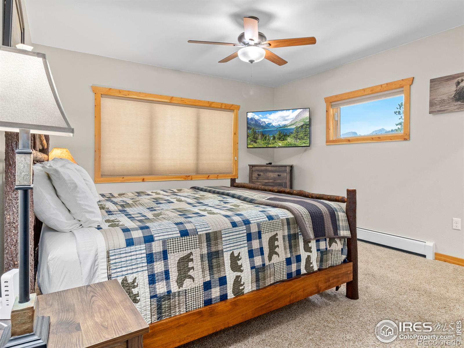 MLS Image #22 for 1401  high drive,estes park, Colorado