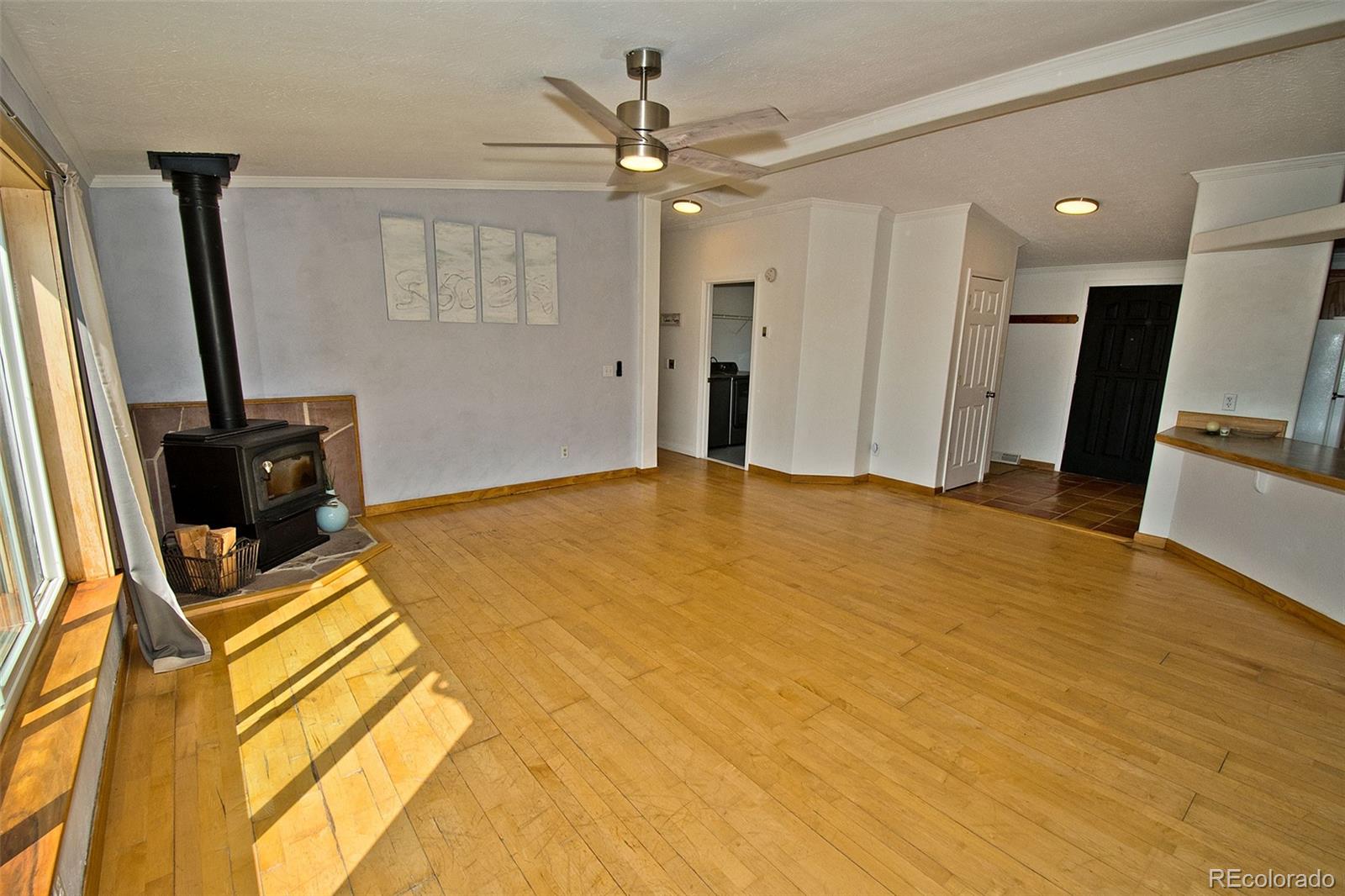 MLS Image #31 for 1372 n saddlerock trail,crestone, Colorado