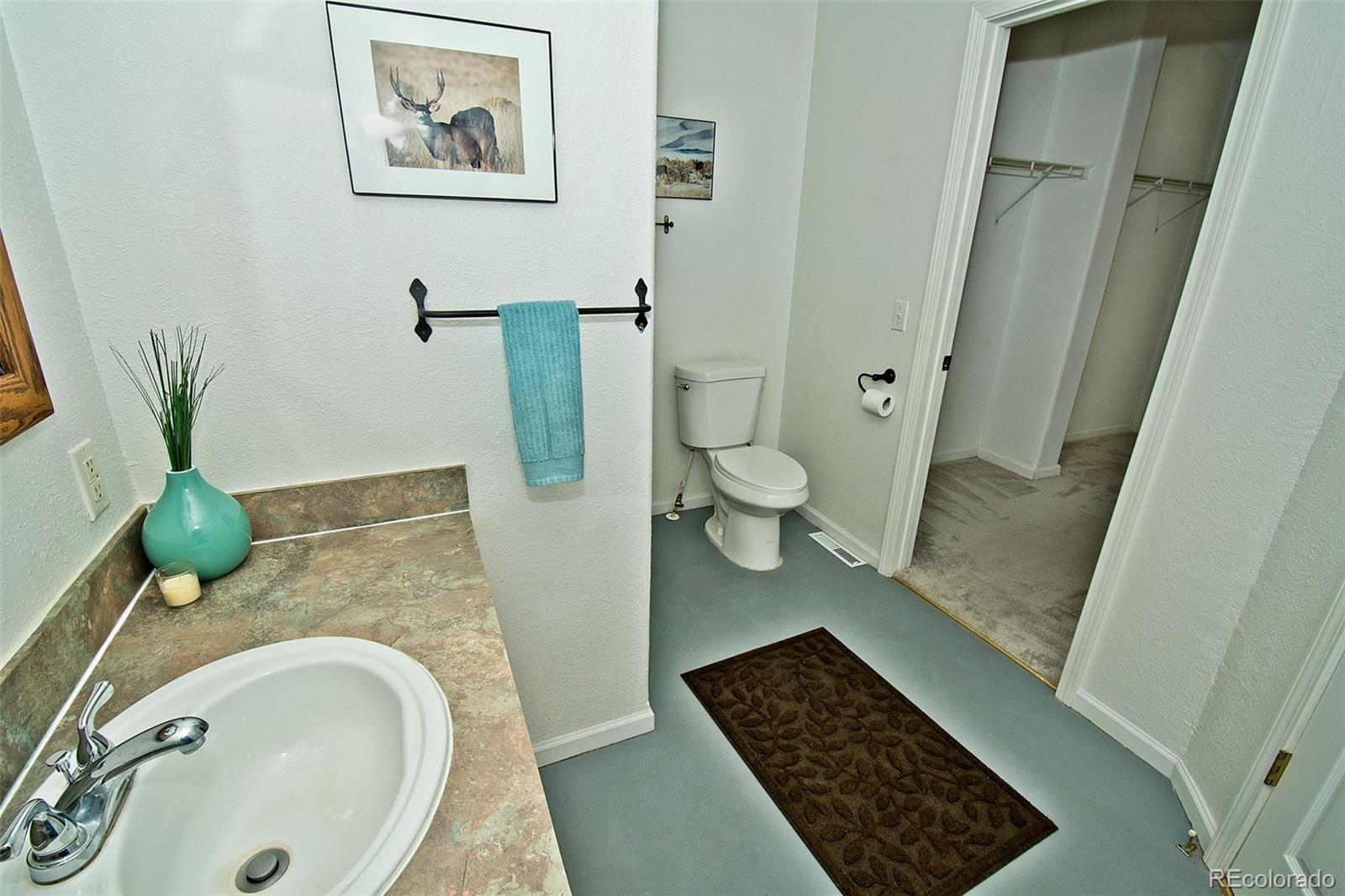 MLS Image #35 for 1372 n saddlerock trail,crestone, Colorado