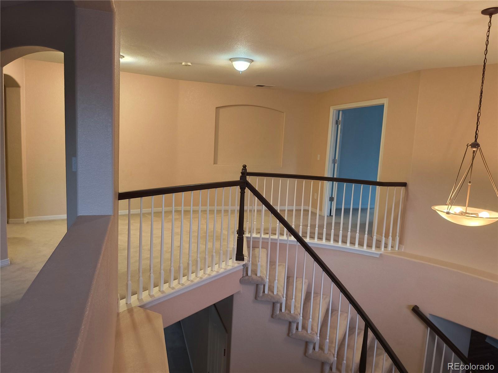 MLS Image #14 for 10145  charissglen lane,highlands ranch, Colorado