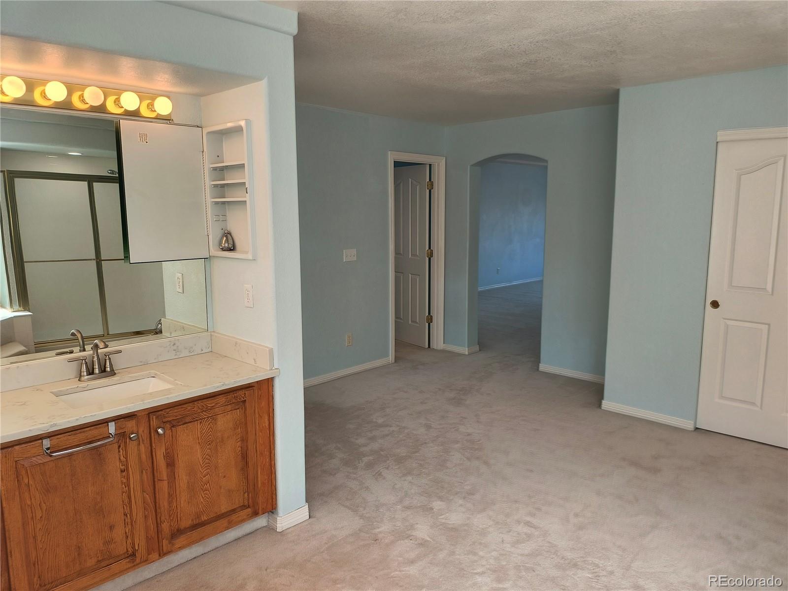 MLS Image #21 for 10145  charissglen lane,highlands ranch, Colorado