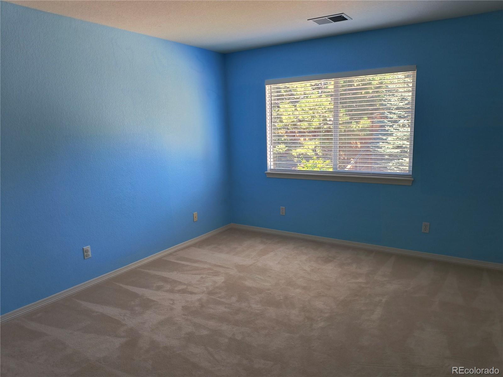 MLS Image #26 for 10145  charissglen lane,highlands ranch, Colorado