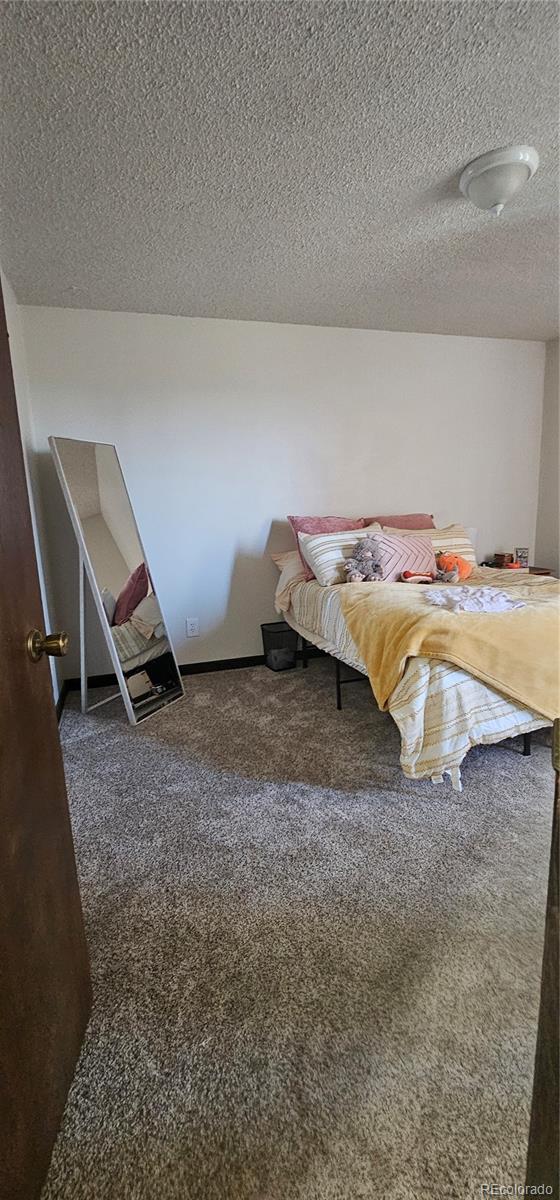 MLS Image #11 for 708 w 1st avenue,kit carson, Colorado
