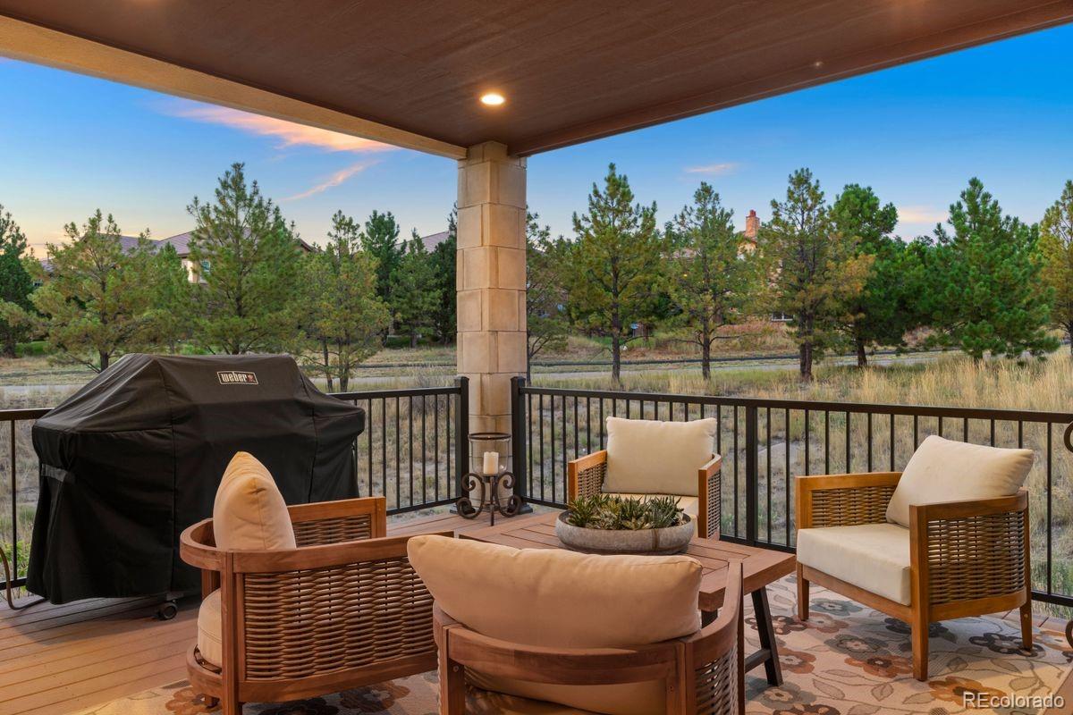MLS Image #18 for 5186  copper blush court,castle rock, Colorado