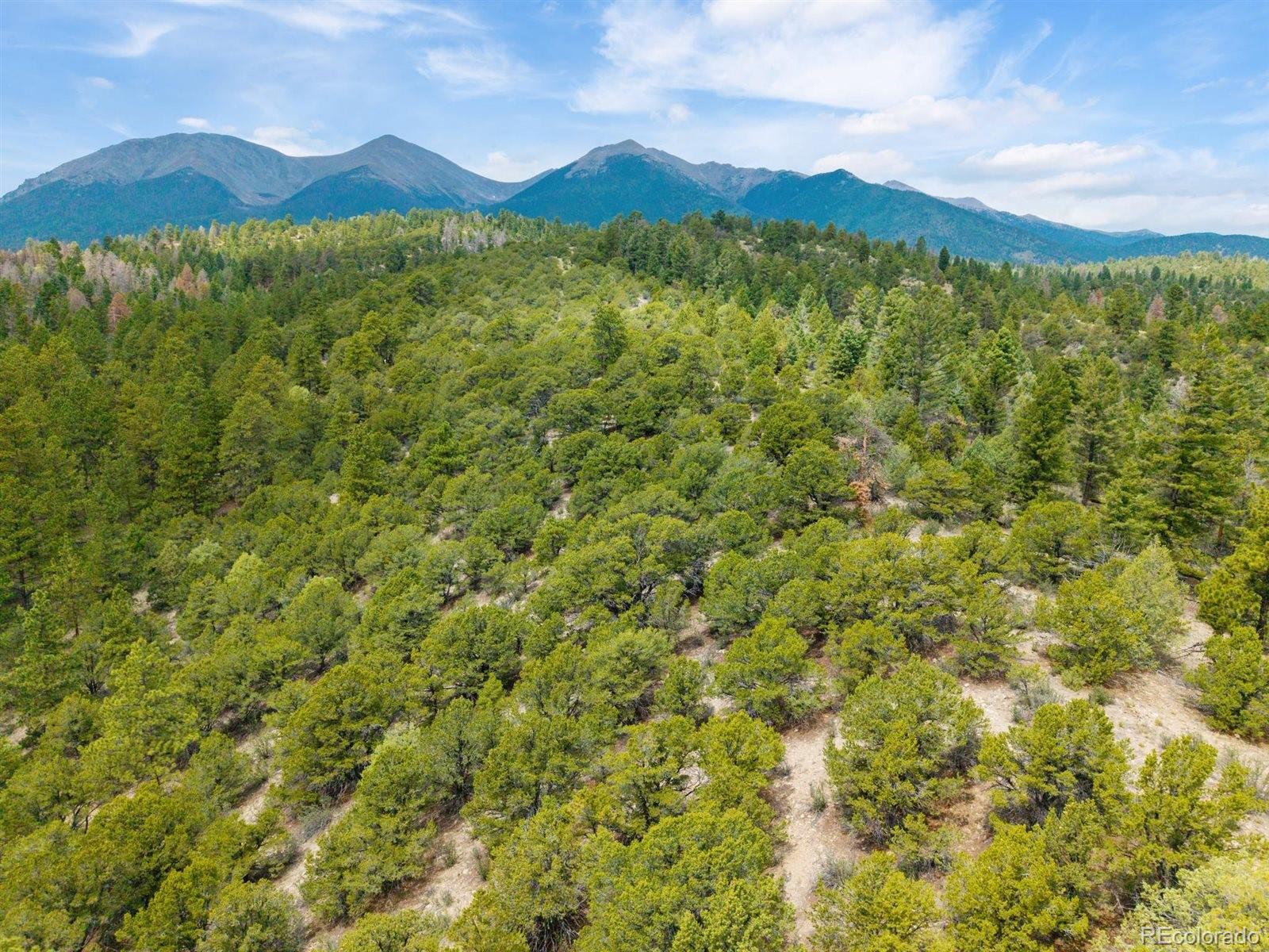 MLS Image #39 for 13600  county road 251 ,salida, Colorado