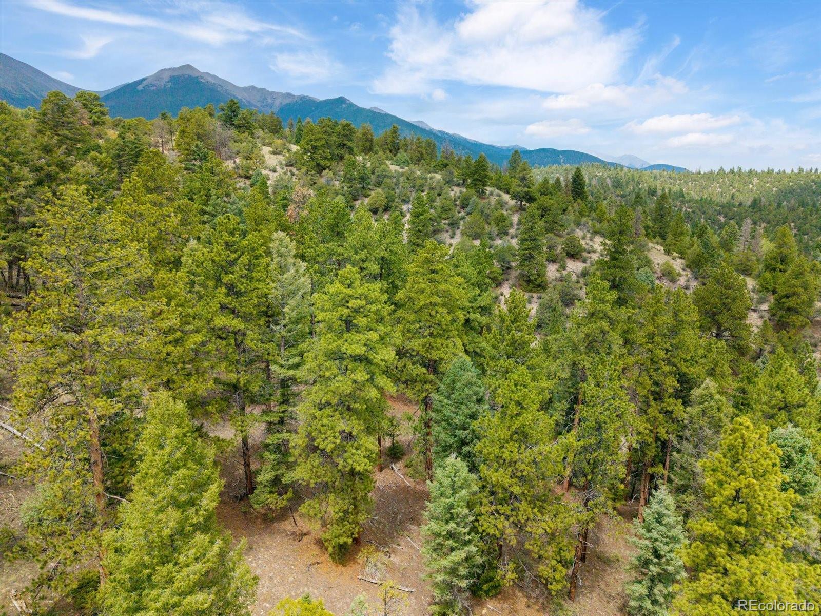 MLS Image #40 for 13600  county road 251 ,salida, Colorado