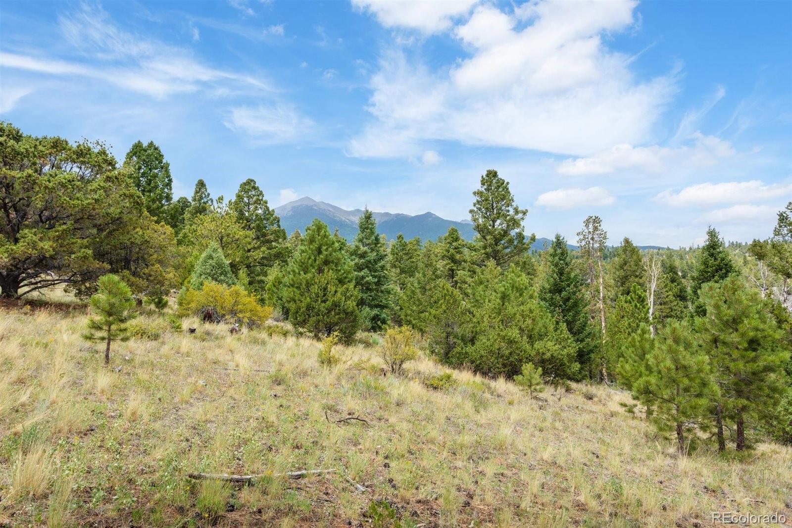 MLS Image #41 for 13600  county road 251 ,salida, Colorado