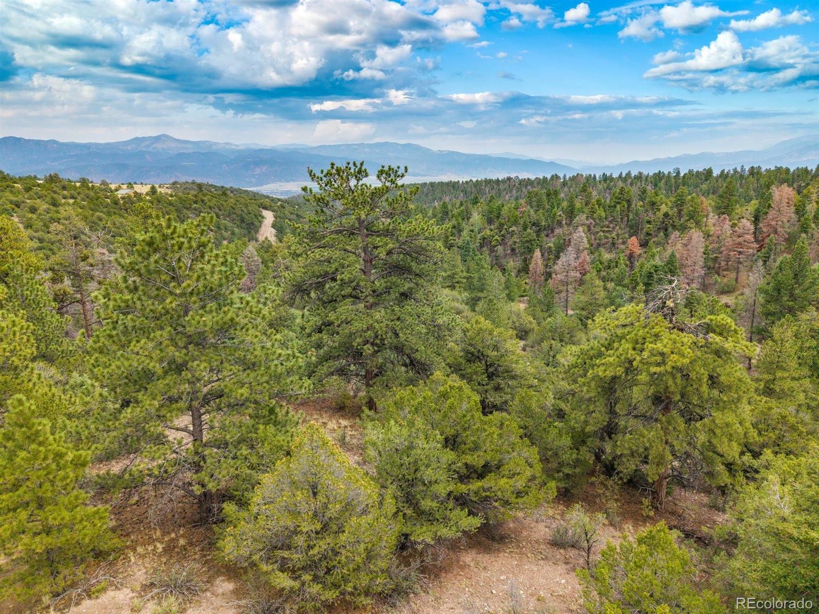 MLS Image #41 for 13500  county road 251 ,salida, Colorado