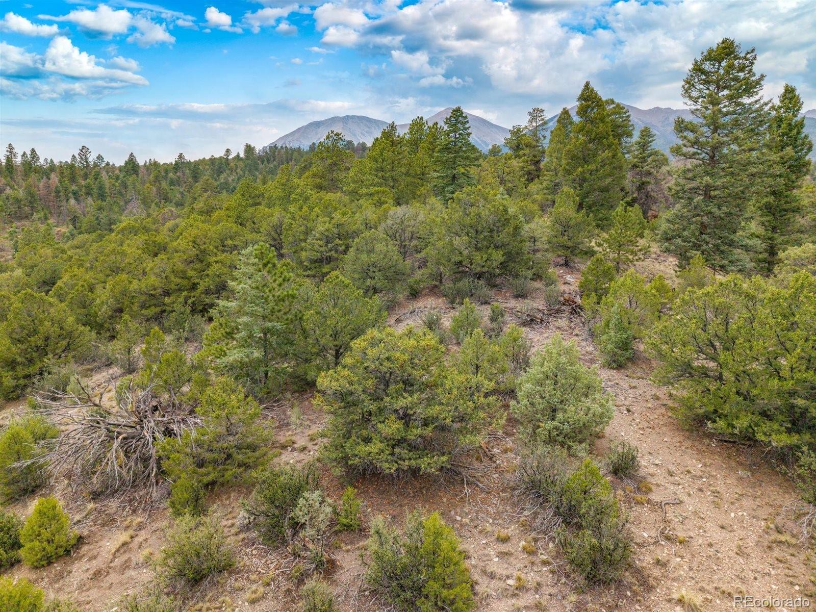 MLS Image #42 for 13500  county road 251 ,salida, Colorado