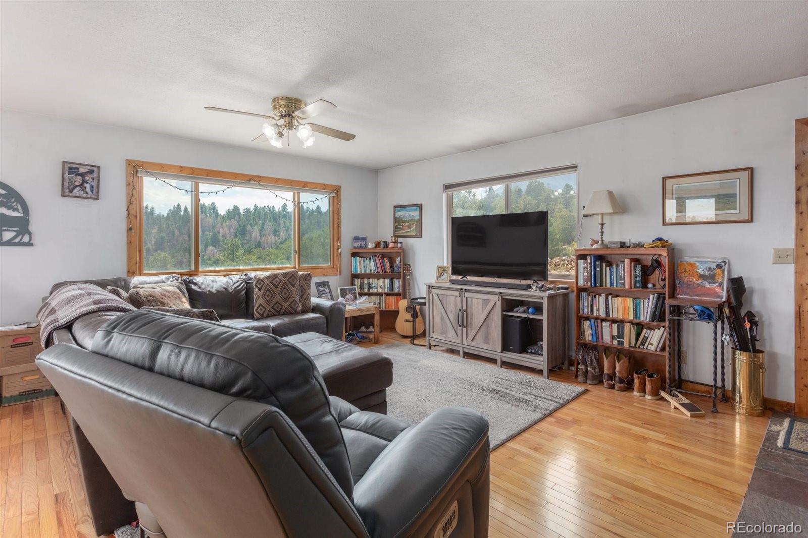 MLS Image #6 for 13500  county road 251 ,salida, Colorado