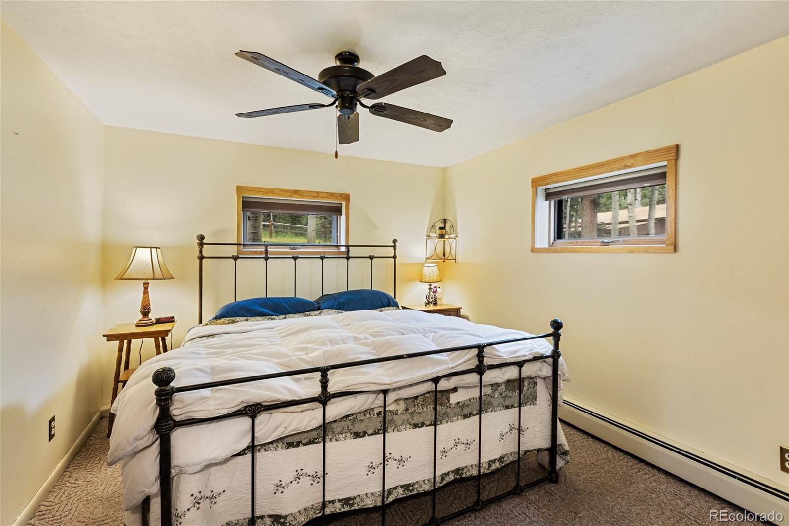 MLS Image #21 for 56  blue jay lane,divide, Colorado