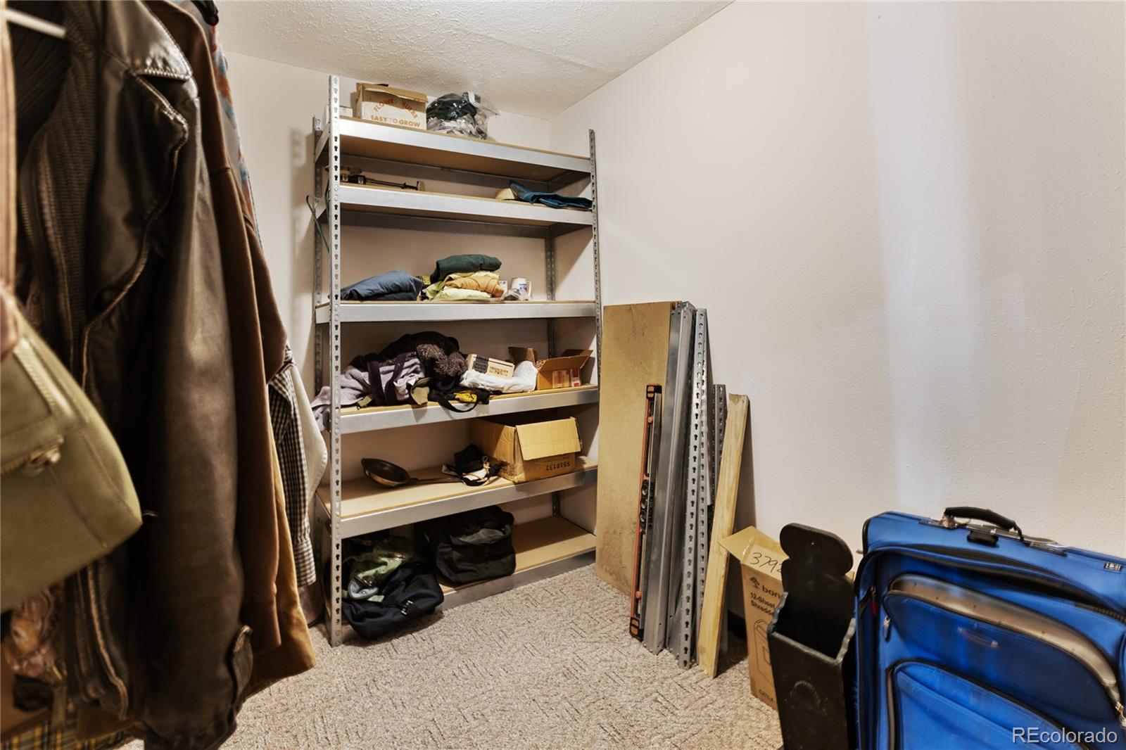 MLS Image #25 for 56  blue jay lane,divide, Colorado