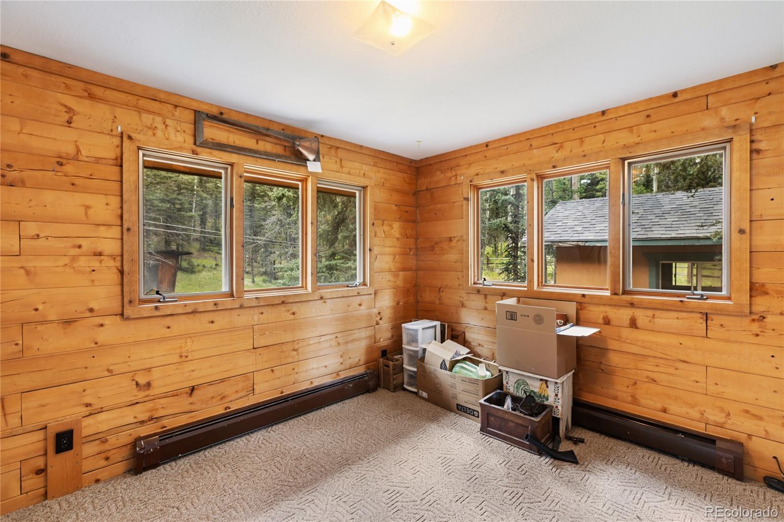 MLS Image #31 for 56  blue jay lane,divide, Colorado