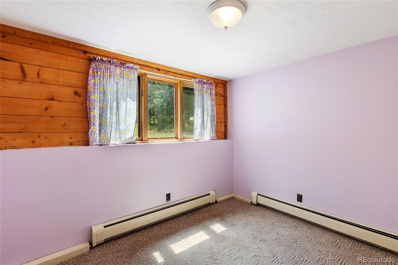 MLS Image #33 for 56  blue jay lane,divide, Colorado