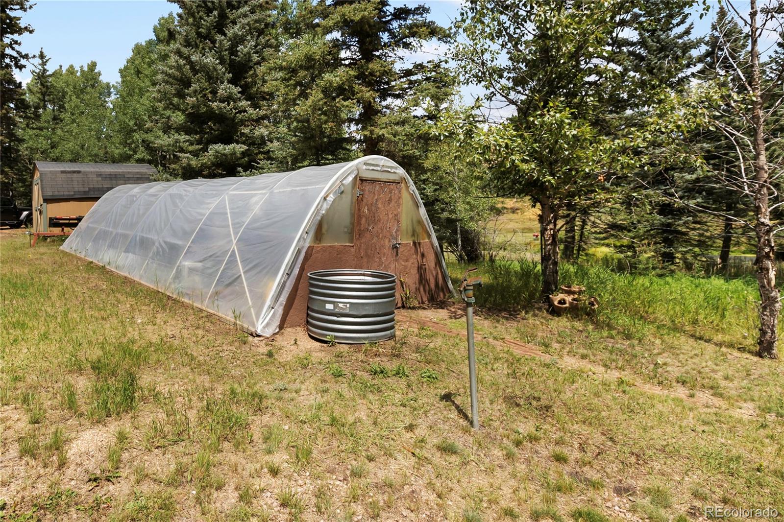 MLS Image #35 for 56  blue jay lane,divide, Colorado