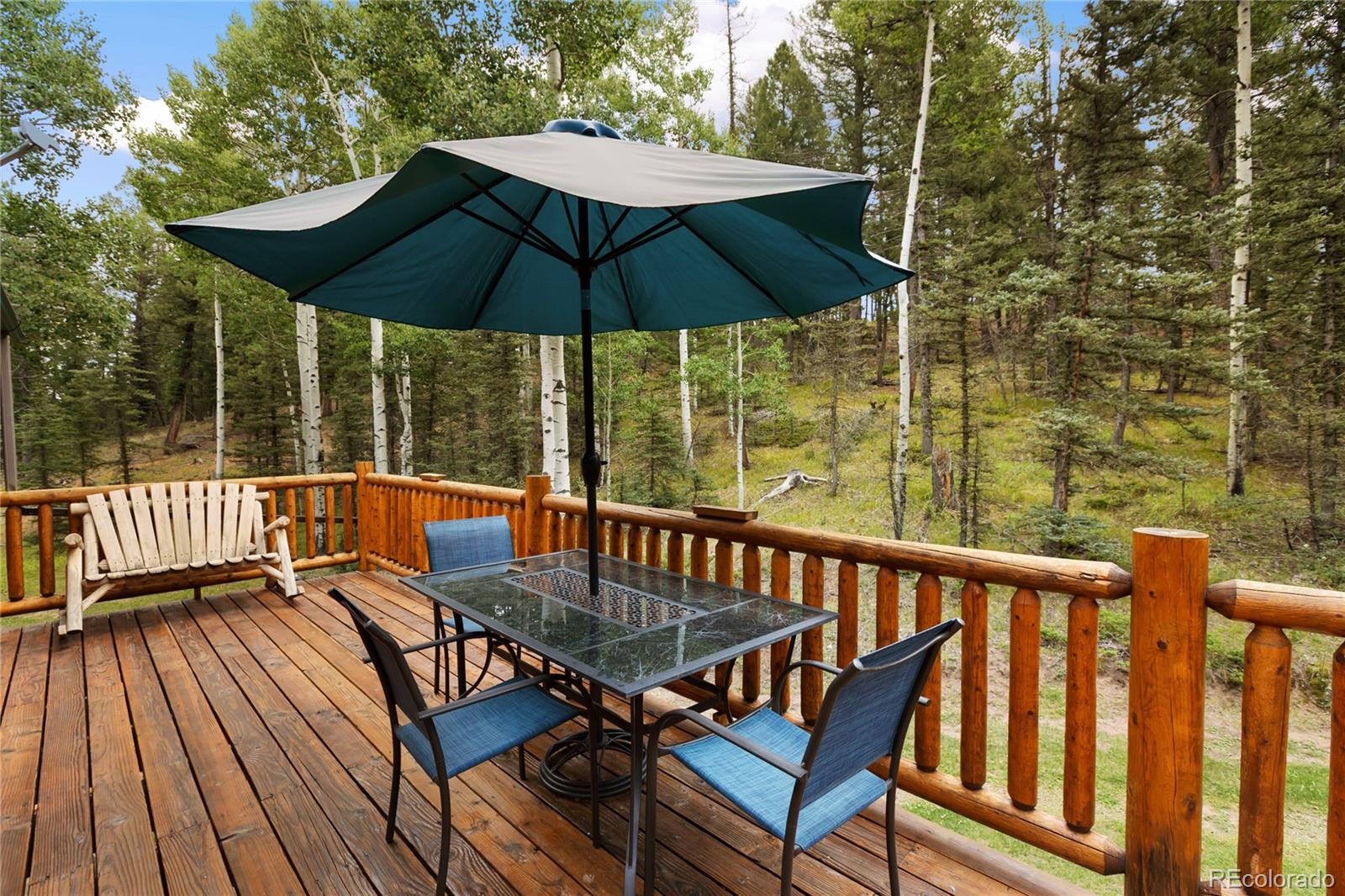 MLS Image #4 for 56  blue jay lane,divide, Colorado