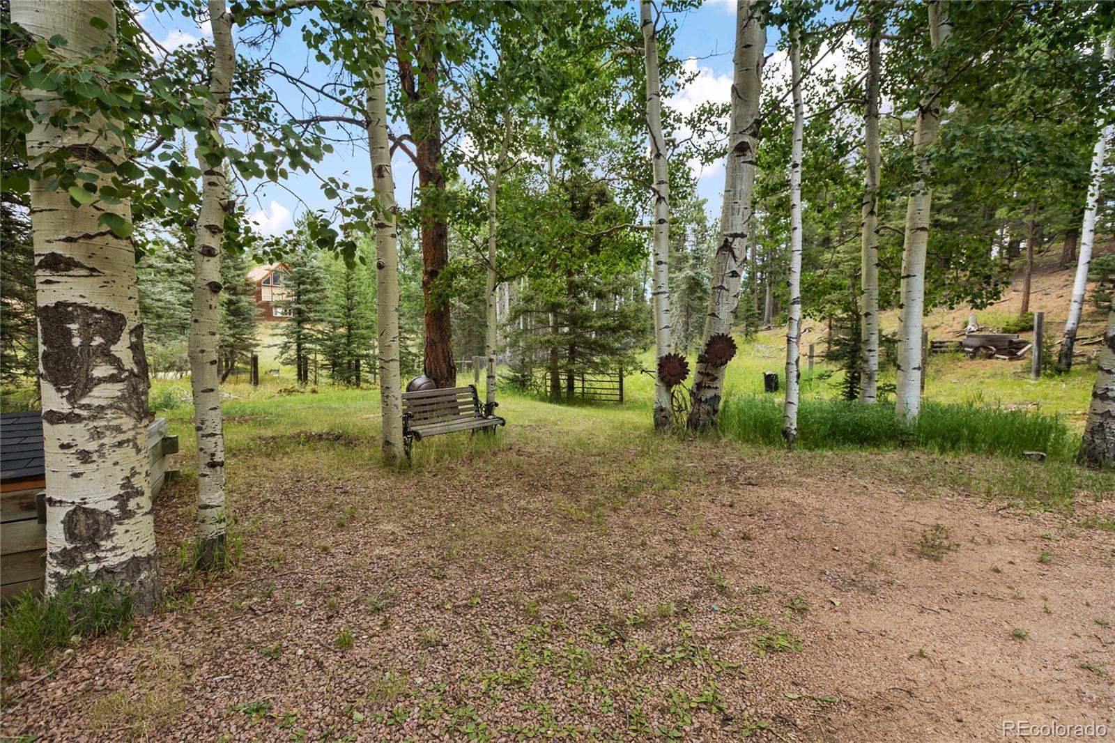 MLS Image #5 for 56  blue jay lane,divide, Colorado