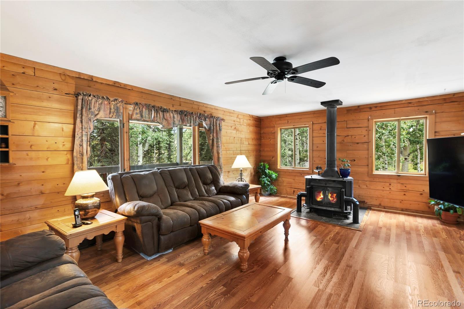 MLS Image #8 for 56  blue jay lane,divide, Colorado