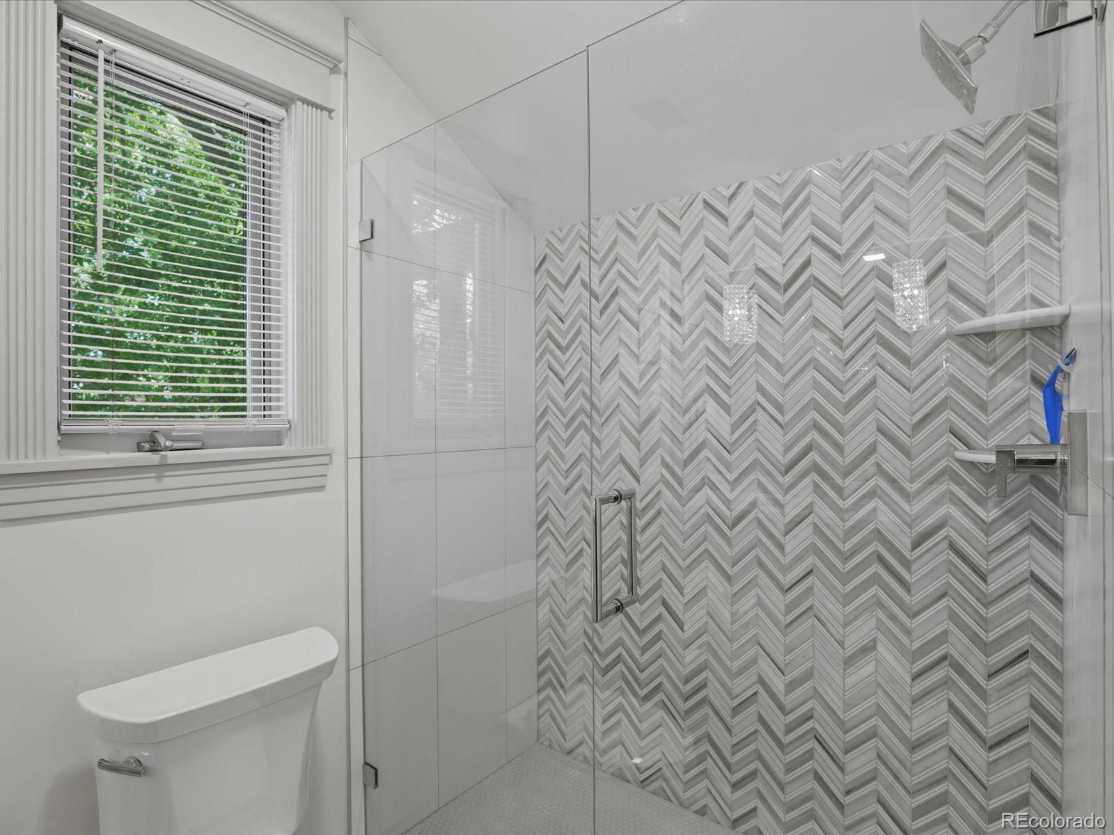 MLS Image #38 for 718  locust street,denver, Colorado