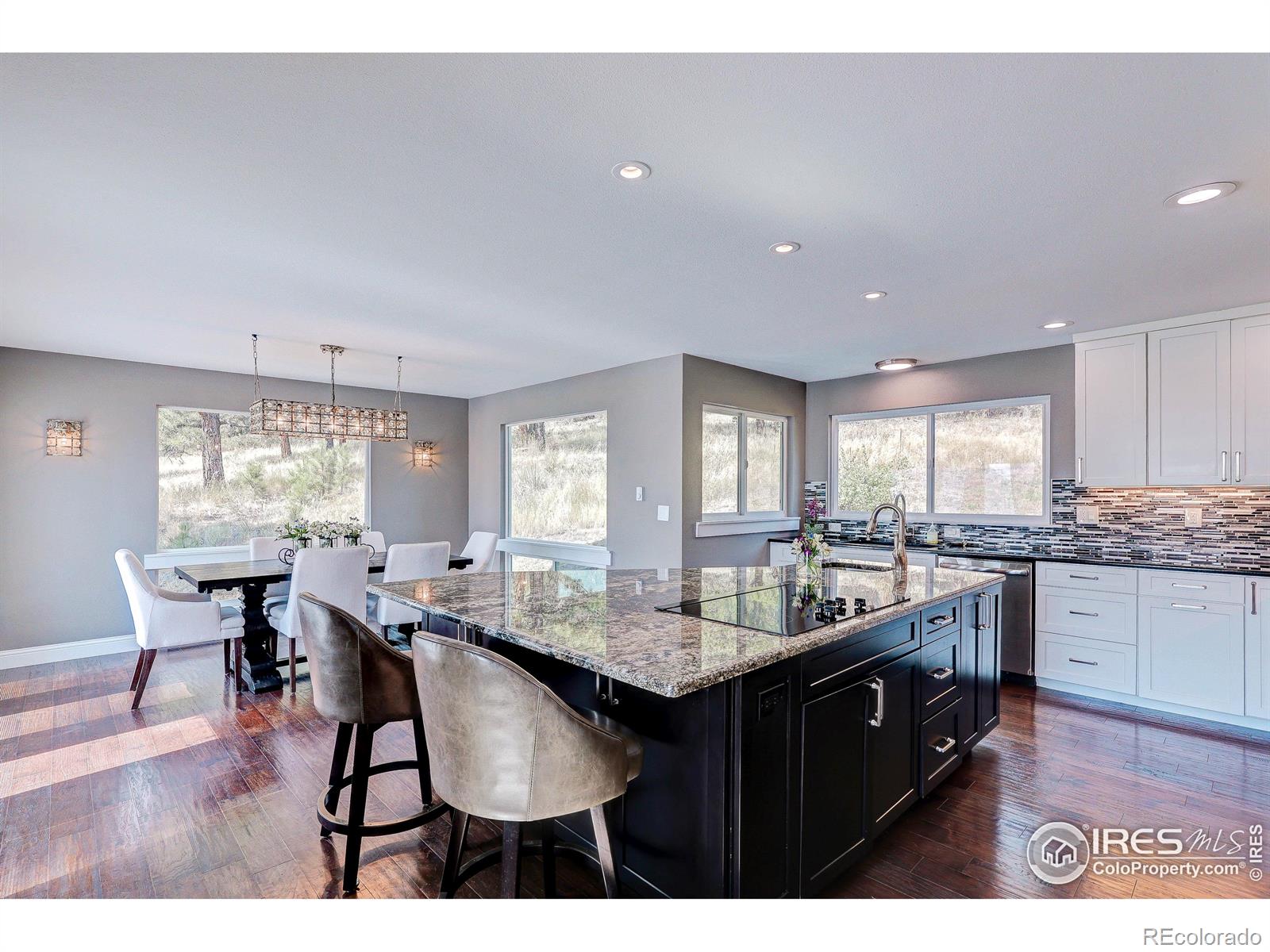 MLS Image #18 for 10297  forest view drive,loveland, Colorado