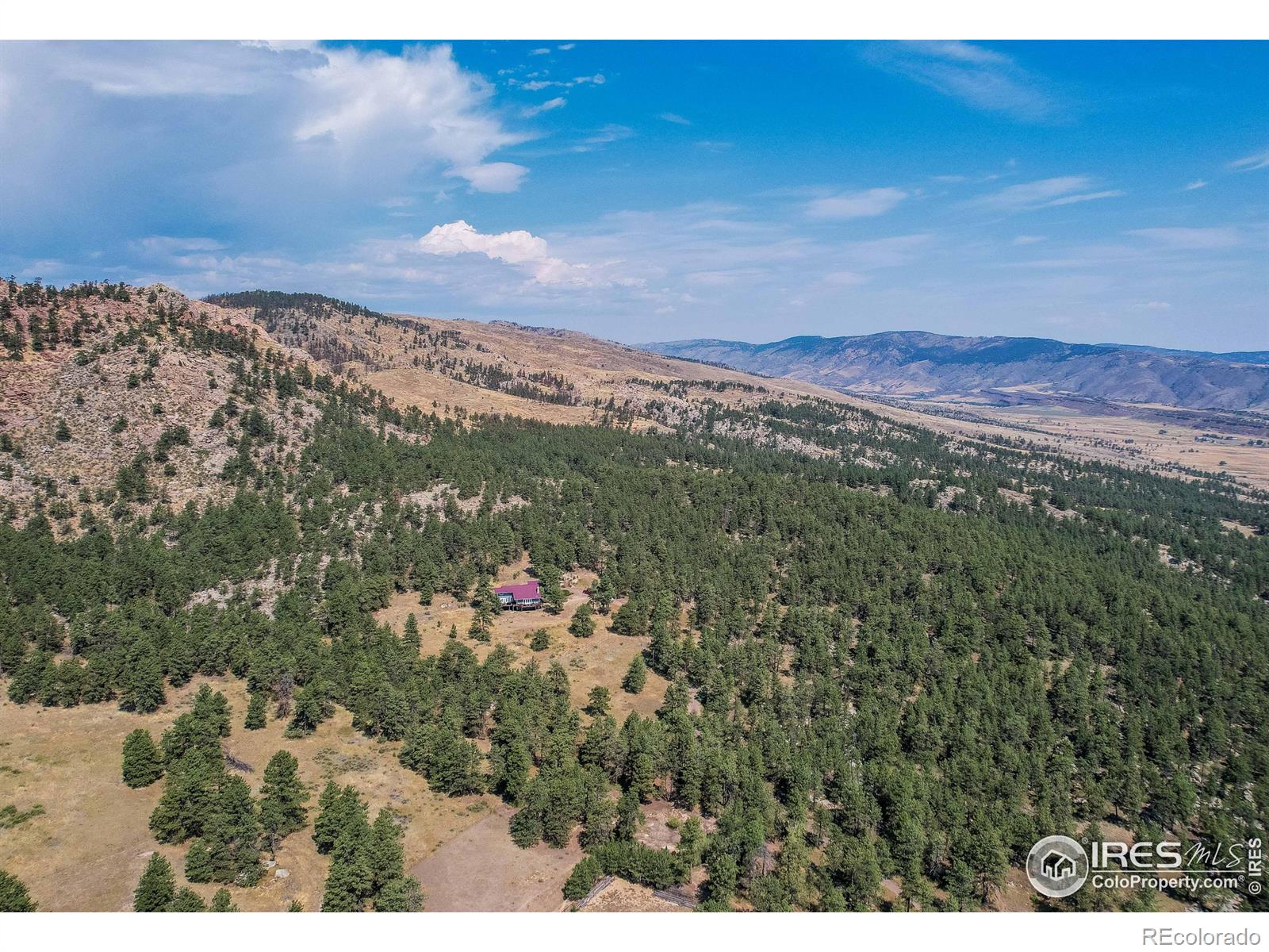 MLS Image #46 for 10297  forest view drive,loveland, Colorado