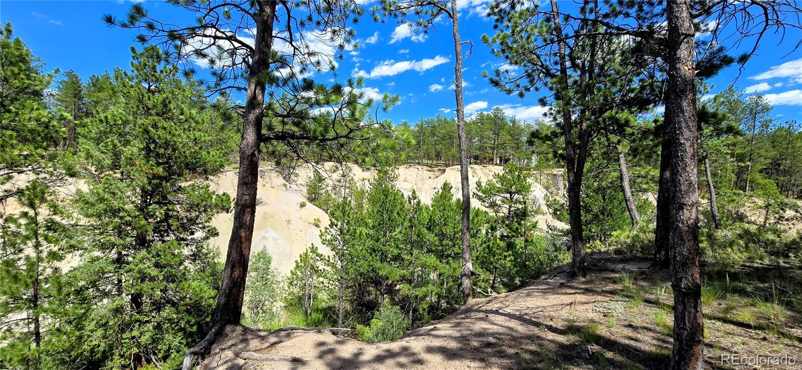 MLS Image #5 for 11785  milam road,colorado springs, Colorado