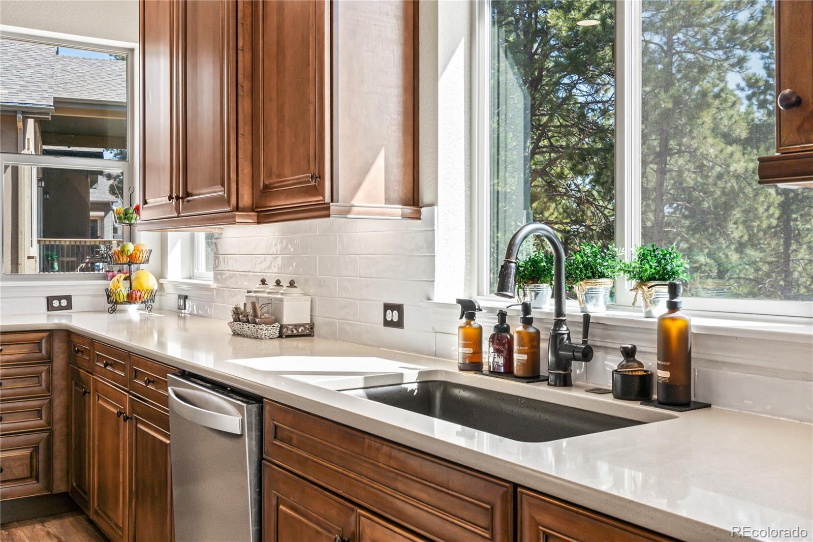 MLS Image #13 for 16231  thunder cat way,monument, Colorado