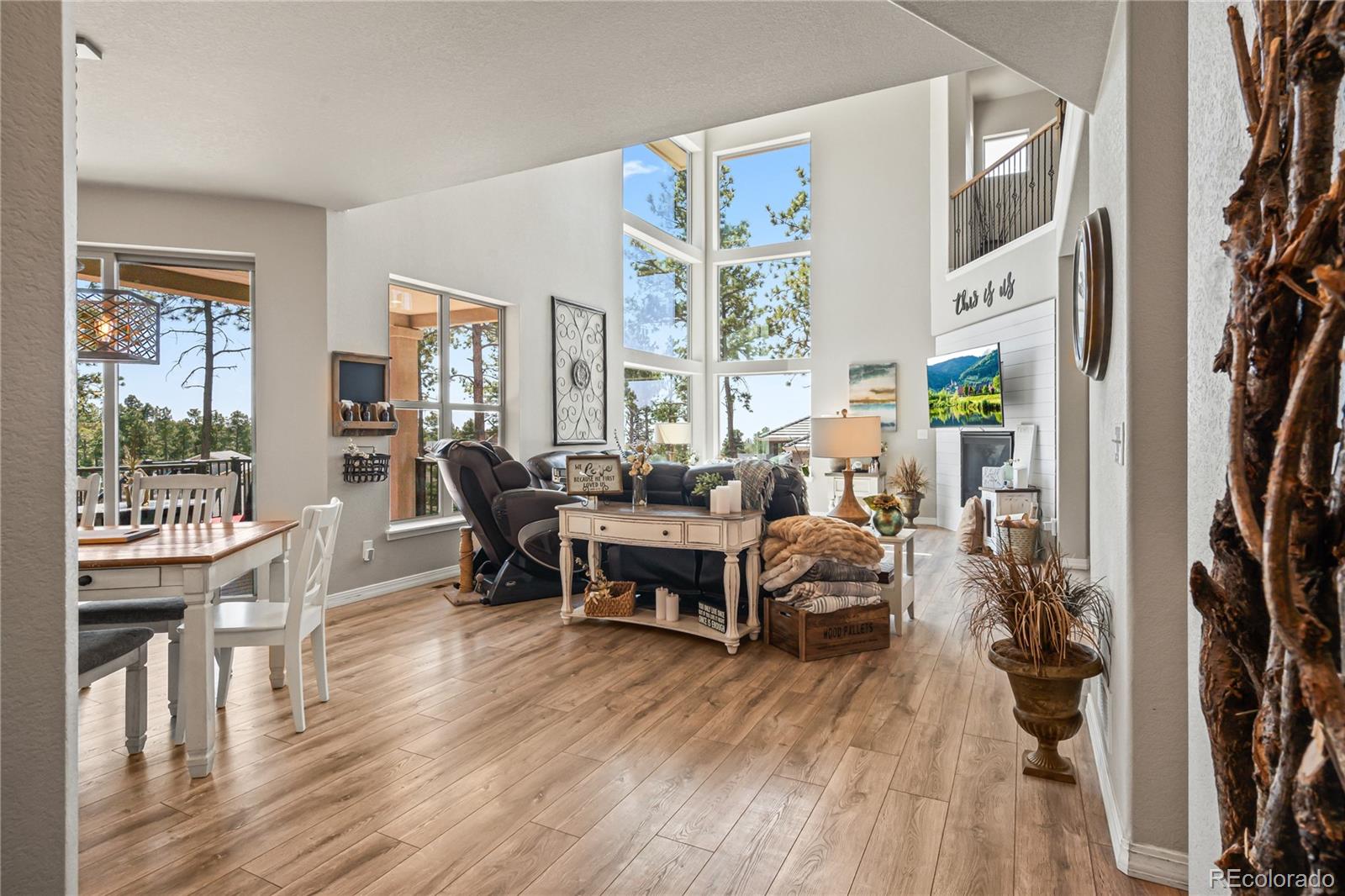 MLS Image #8 for 16231  thunder cat way,monument, Colorado