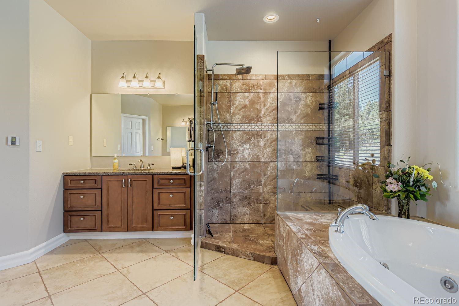 MLS Image #21 for 15450  elk mountain trail,littleton, Colorado