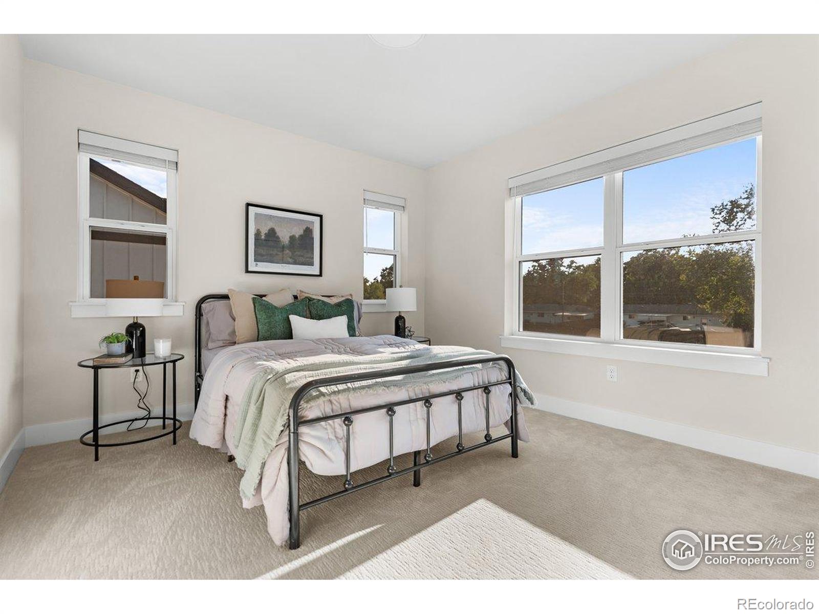 MLS Image #18 for 1658  taft gardens circle,loveland, Colorado