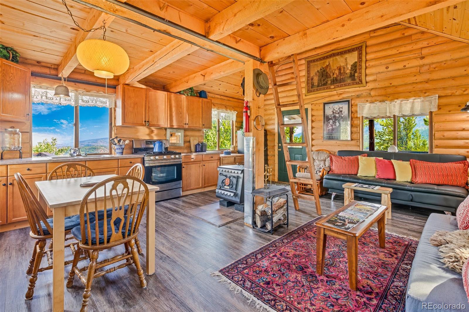 MLS Image #1 for 210  pine ridge road,fairplay, Colorado