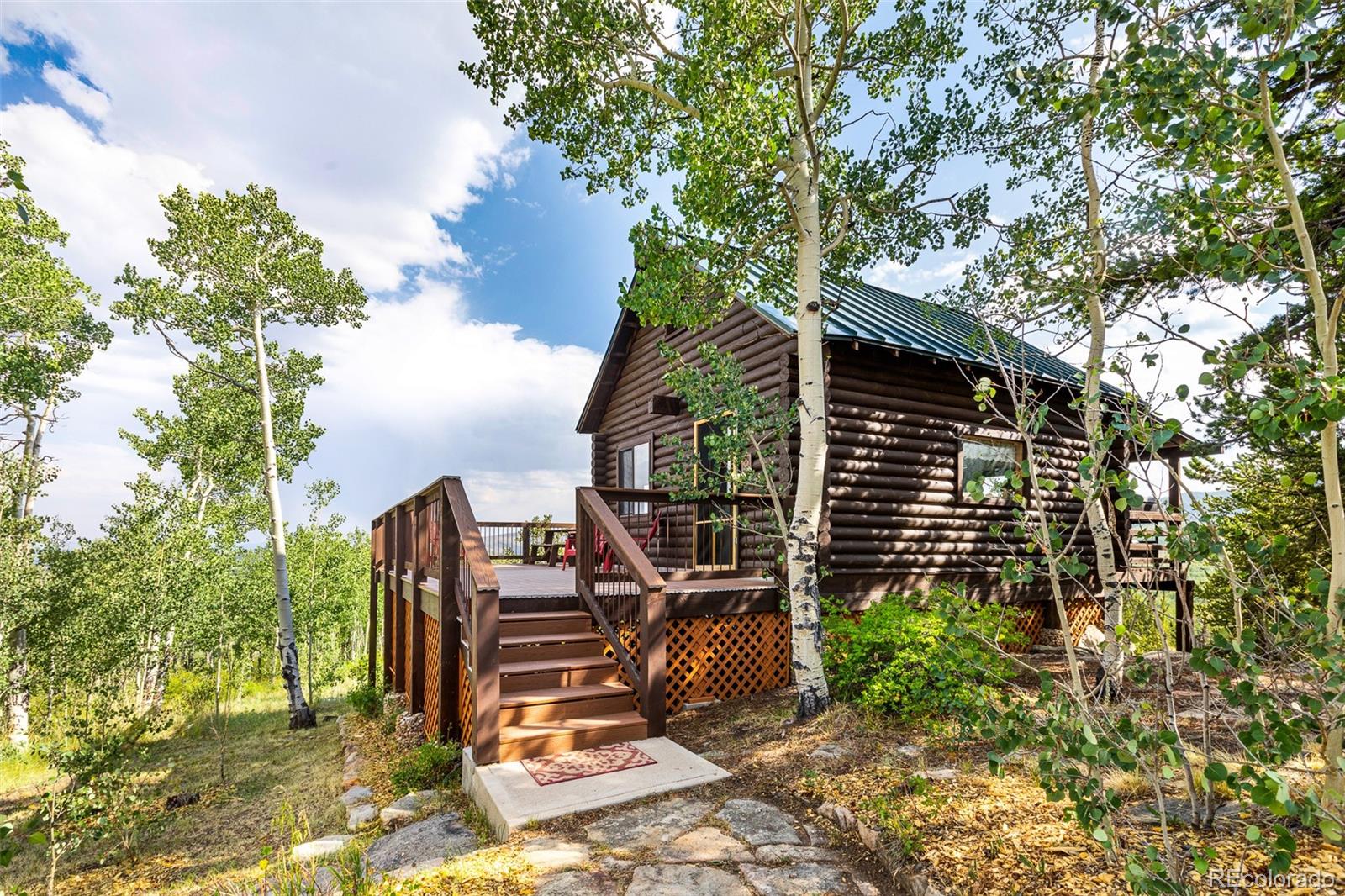 MLS Image #10 for 210  pine ridge road,fairplay, Colorado