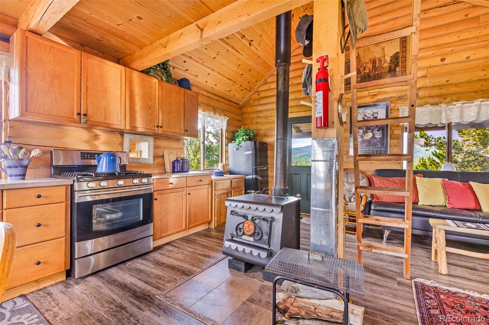 MLS Image #21 for 210  pine ridge road,fairplay, Colorado