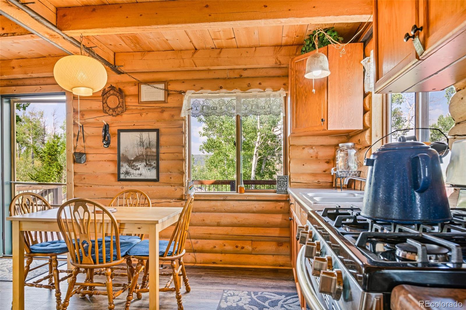 MLS Image #23 for 210  pine ridge road,fairplay, Colorado