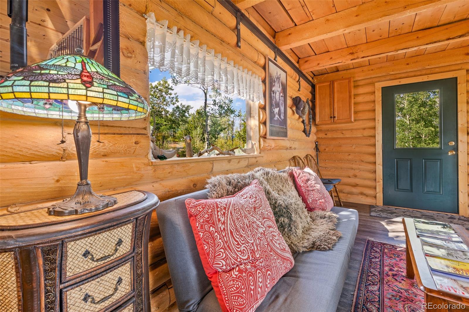 MLS Image #3 for 210  pine ridge road,fairplay, Colorado