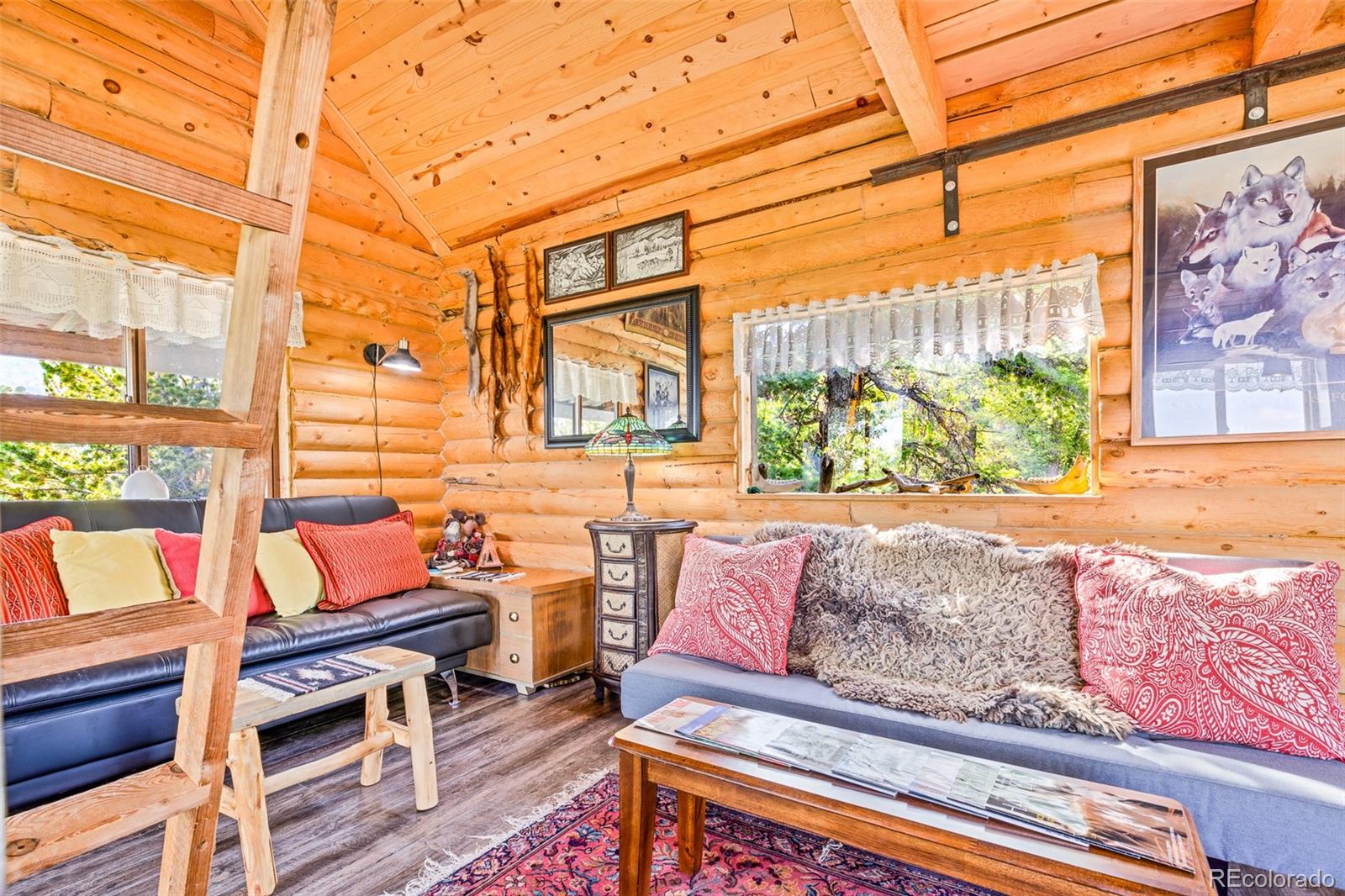 MLS Image #30 for 210  pine ridge road,fairplay, Colorado