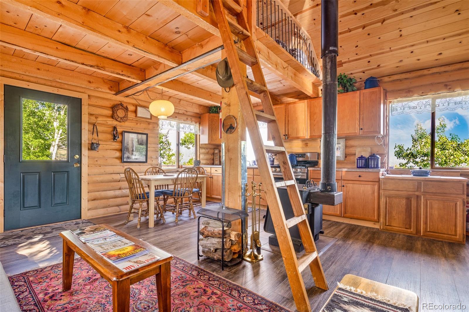 MLS Image #31 for 210  pine ridge road,fairplay, Colorado