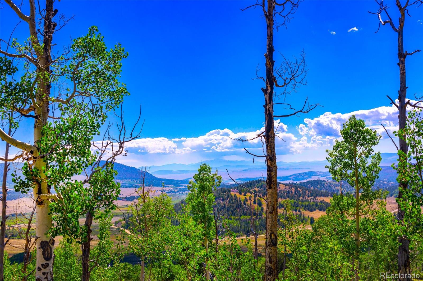 MLS Image #34 for 210  pine ridge road,fairplay, Colorado