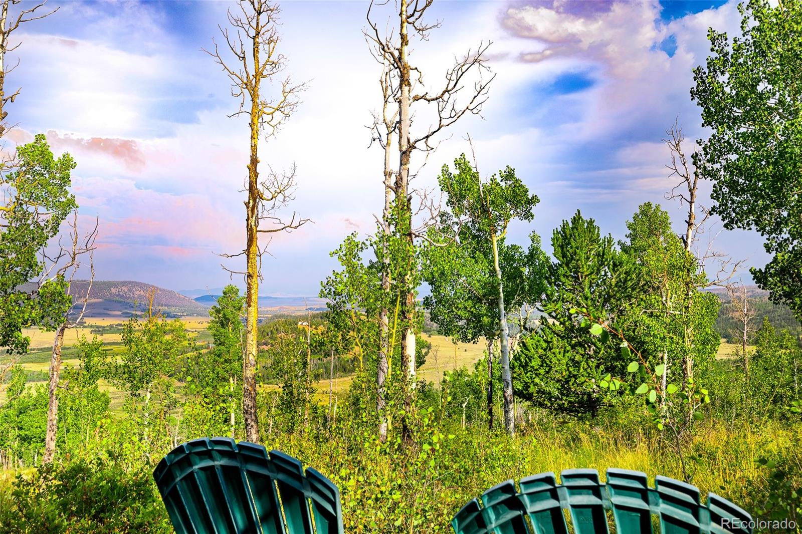 MLS Image #37 for 210  pine ridge road,fairplay, Colorado