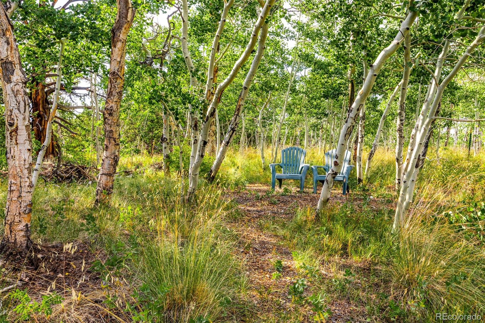 MLS Image #38 for 210  pine ridge road,fairplay, Colorado
