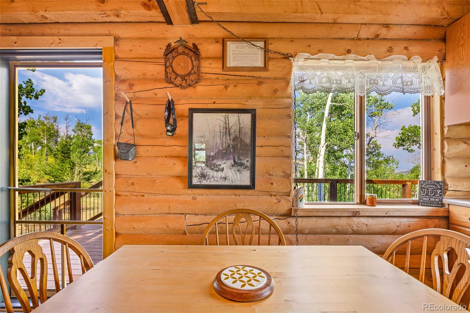 MLS Image #39 for 210  pine ridge road,fairplay, Colorado
