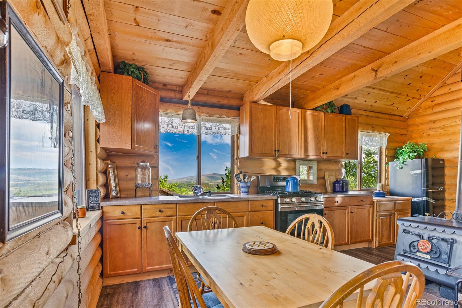 MLS Image #4 for 210  pine ridge road,fairplay, Colorado