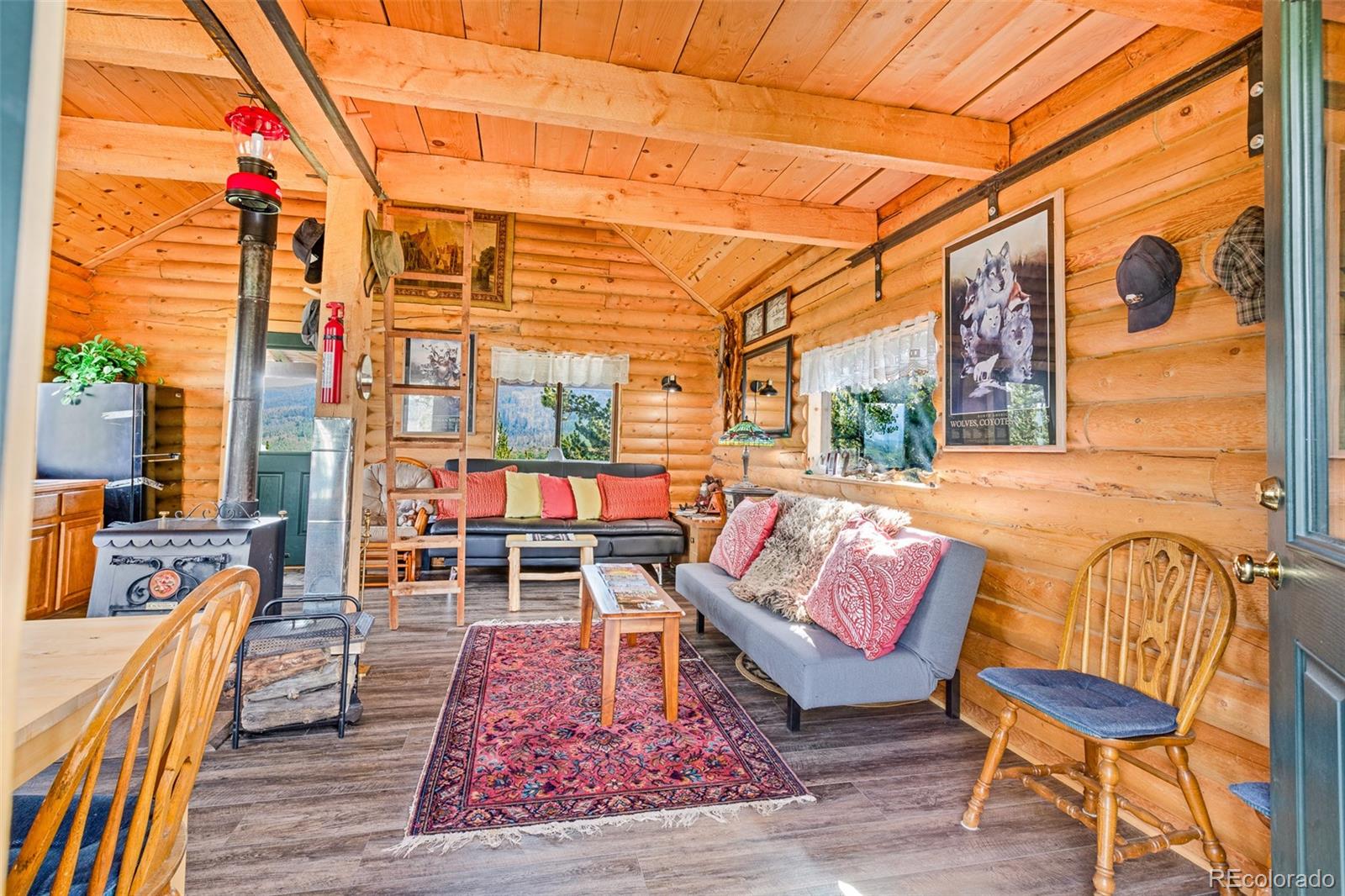 MLS Image #42 for 210  pine ridge road,fairplay, Colorado